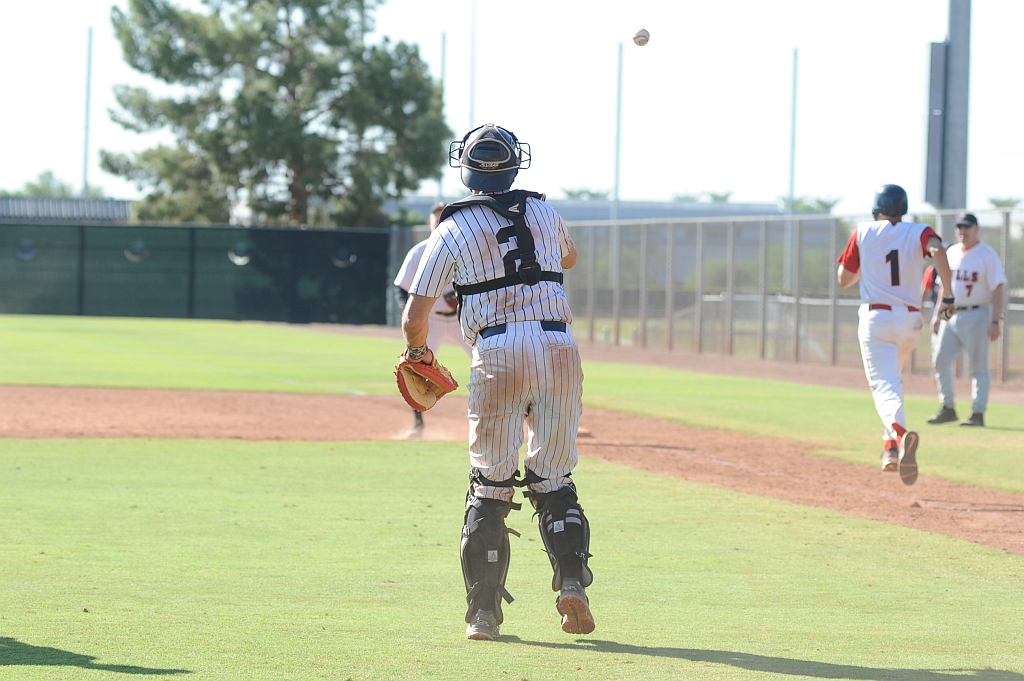 Seals_2019-10-09 (361).JPG - (c)2010 DeVetter